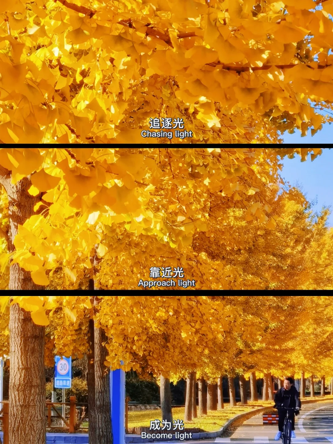 存档摄影手机游戏有哪些_存档游戏手机摄影_存档摄影手机游戏怎么玩