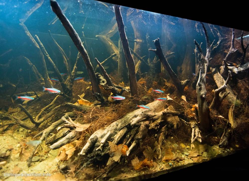 手机游戏捕鱼_手机游戏平台_cta 手机游戏