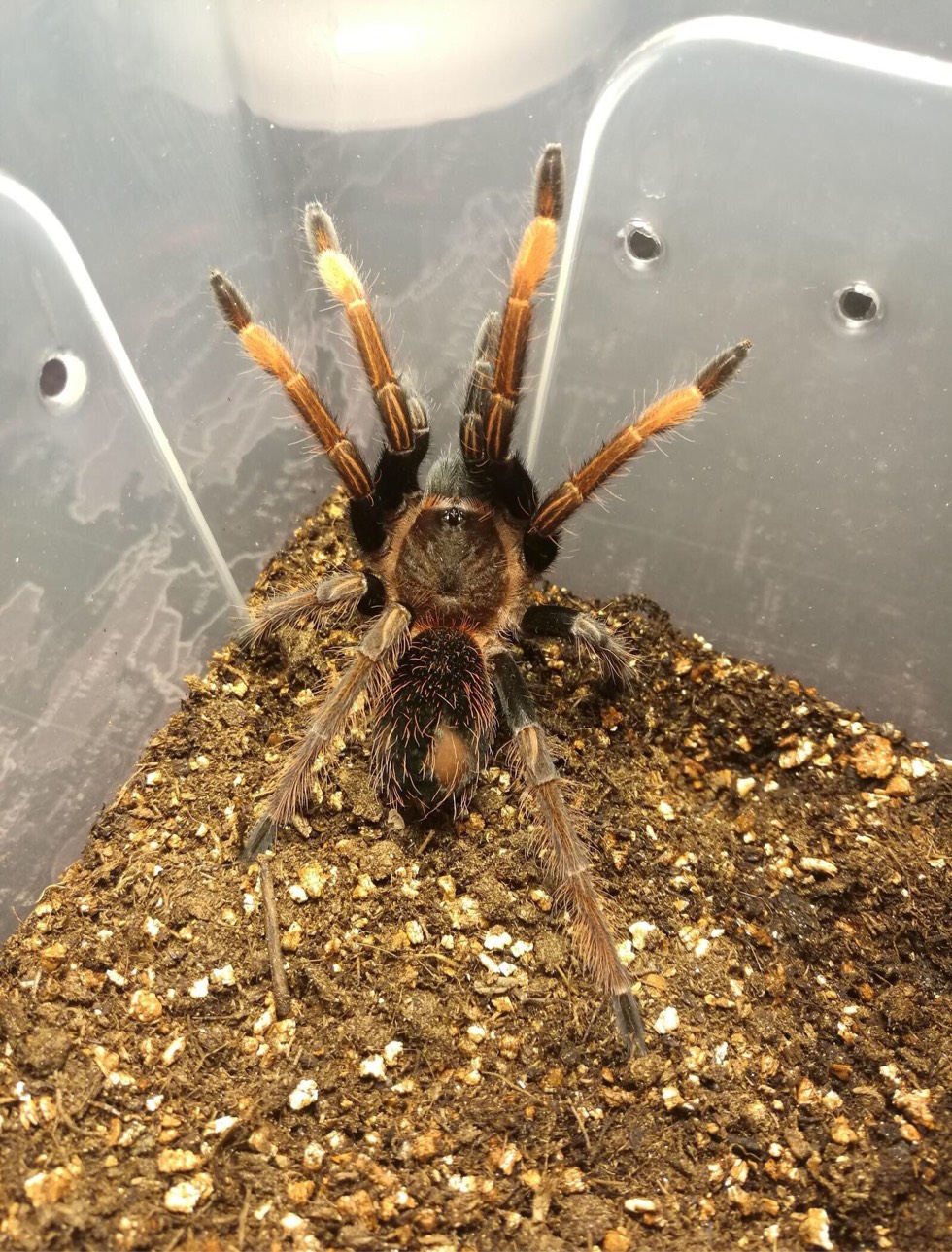 手机游戏平台_cta 手机游戏_手机游戏捕鱼