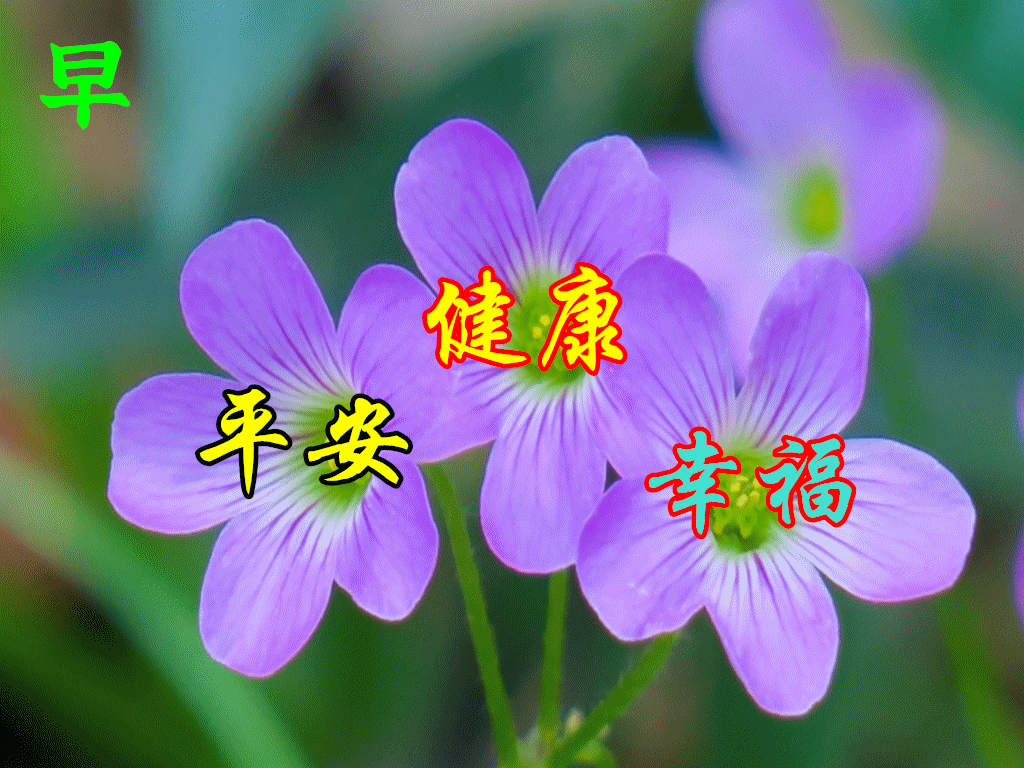 比利·海灵顿_比利海灵顿资源_比利海灵顿哲学视频