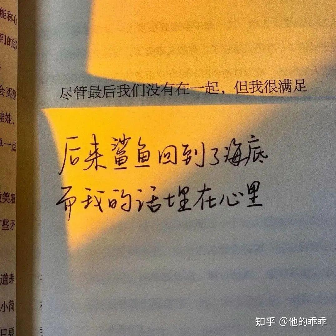 再见钟情_再见钟情2019电影_一见倾心再见钟情