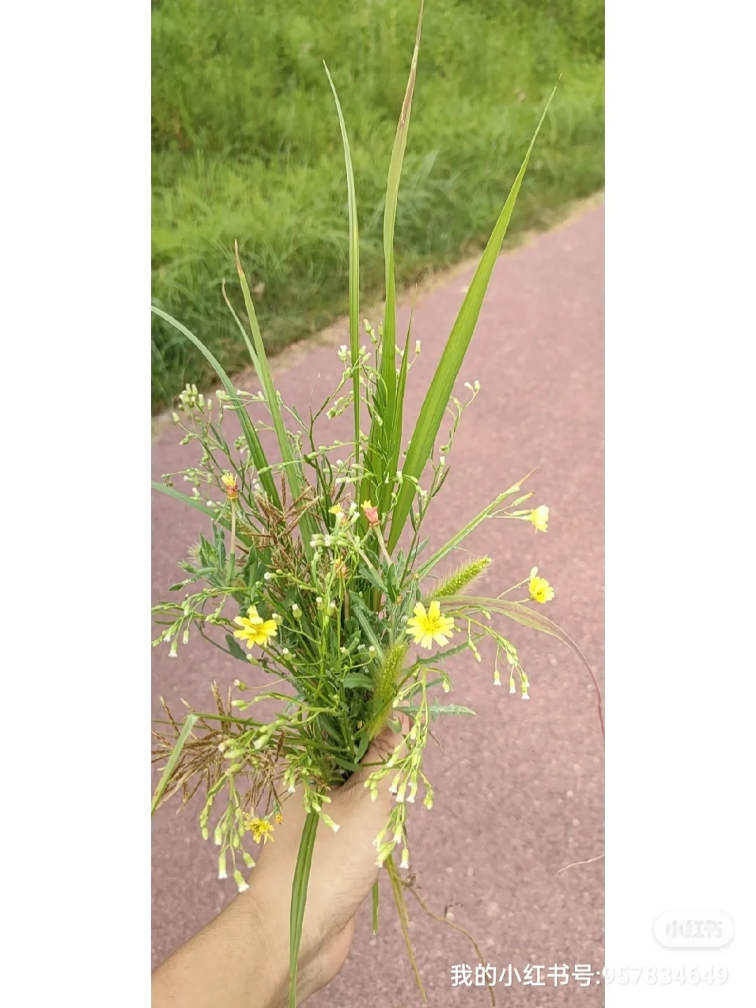 义肢_义肢是什么_义肢机械手臂多少钱