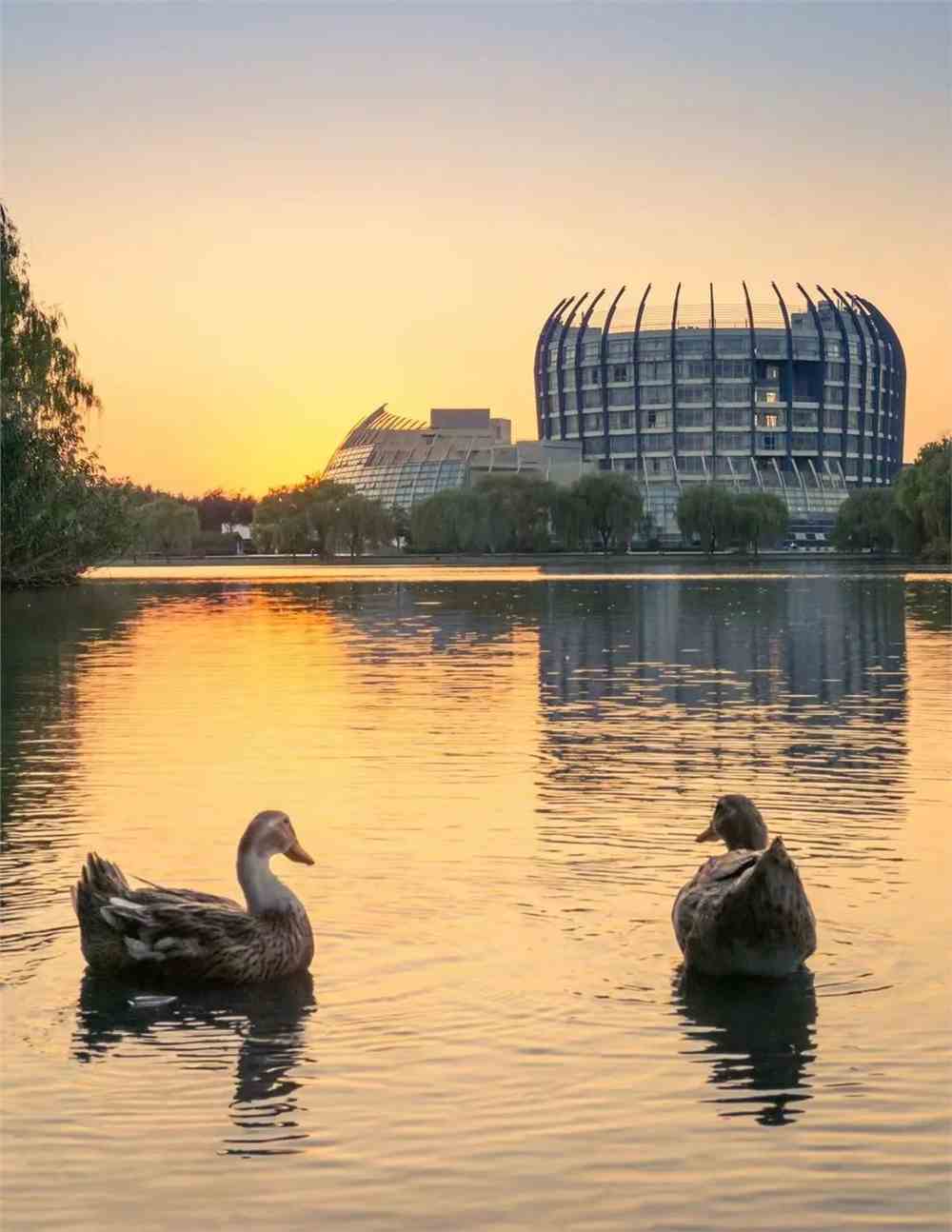 伊织静玖百度_封印者伊织静_伊织静玖