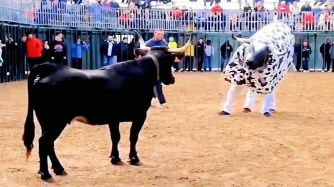 斗牛手机游戏官网_斗牛手机游戏ios_斗牛的手机游戏