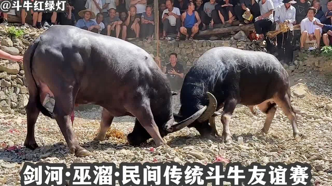 斗牛手机游戏官网_斗牛手机游戏ios_斗牛的手机游戏