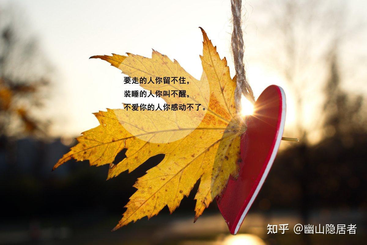 11月29日是什么日子_日月日子_日和月是