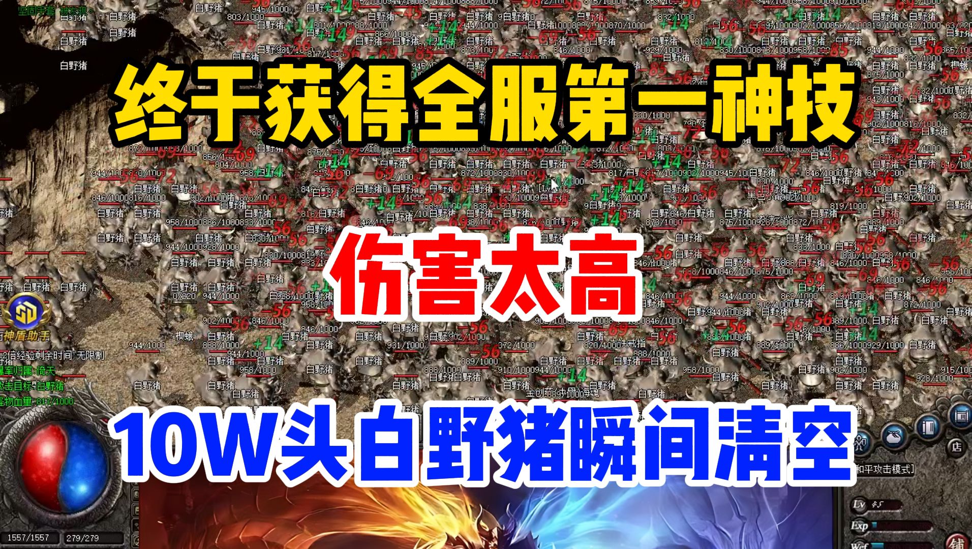 一款打野猪的游戏_打野猪版手机游戏怎么玩_打野猪游戏手机版