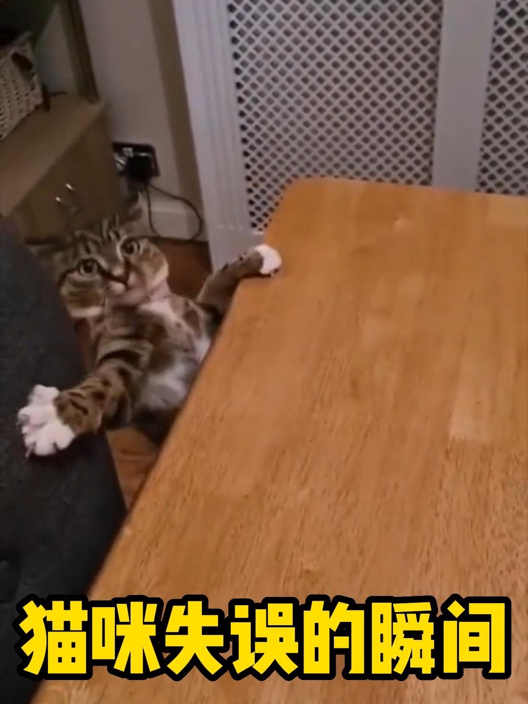搞笑动漫版手机游戏有哪些_搞笑动漫游戏手机版_搞笑的游戏动漫