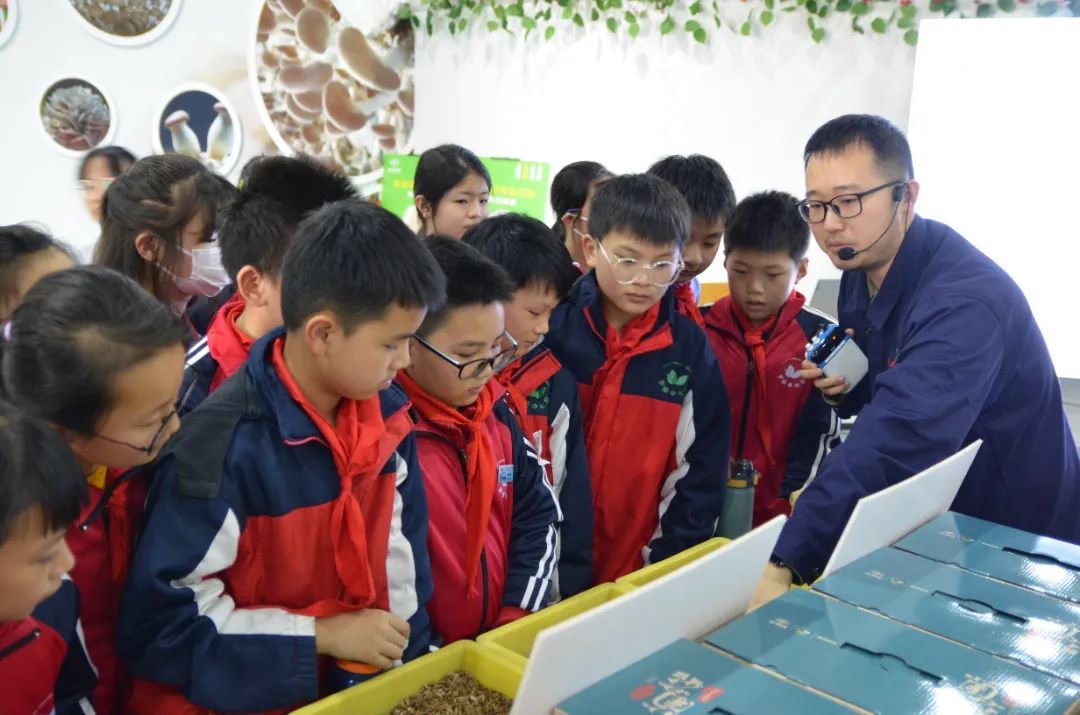 手机游戏耳机什么牌子好_耳科手机游戏_手机耳机游戏