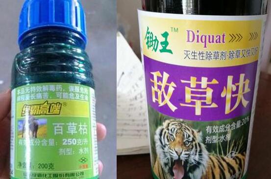 绝望王头像_绝望王图片_绝望王