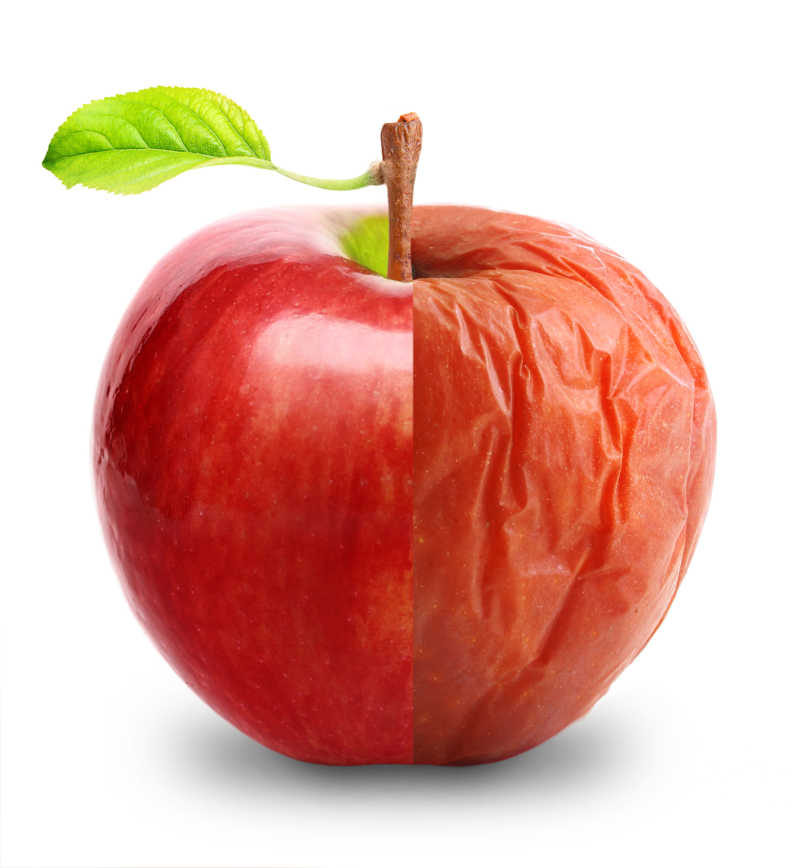 苹果id创建网站_创建appleid网页界面_苹果账号创建网站