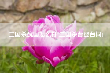 曹婴三国杀_三国杀曹婴技能介绍_三国杀曹婴被草图