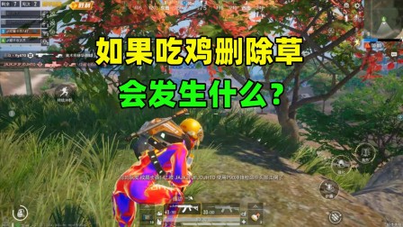 最新吃鸡滤镜参数_吃鸡支持游戏滤镜吗手机_吃鸡滤镜必须进行支持的游戏