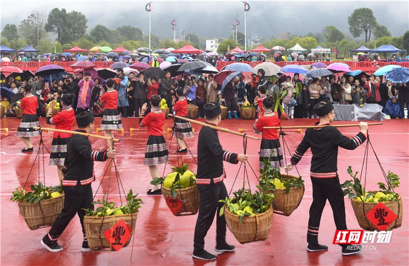 瑶族独特的节日_瑶族的传统节日活动_瑶族的传统节日