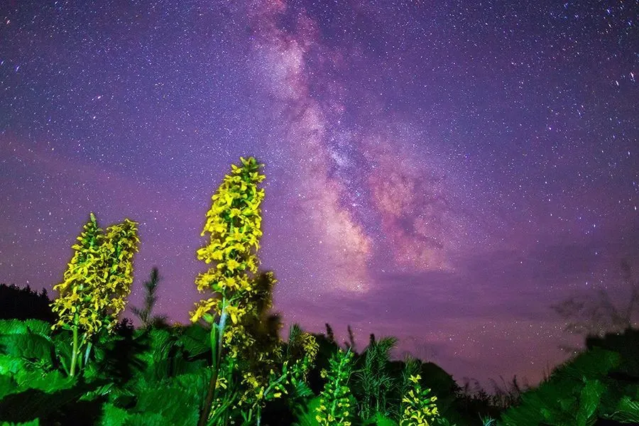 八度免费电影院_八度免费电影院_八度免费电影院