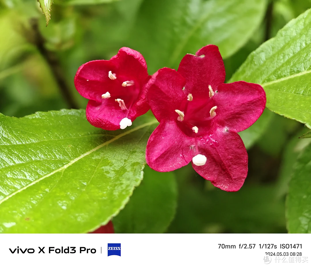 拍照手机游戏_vivo游戏手机拍照_vivo拍照打游戏好的手机