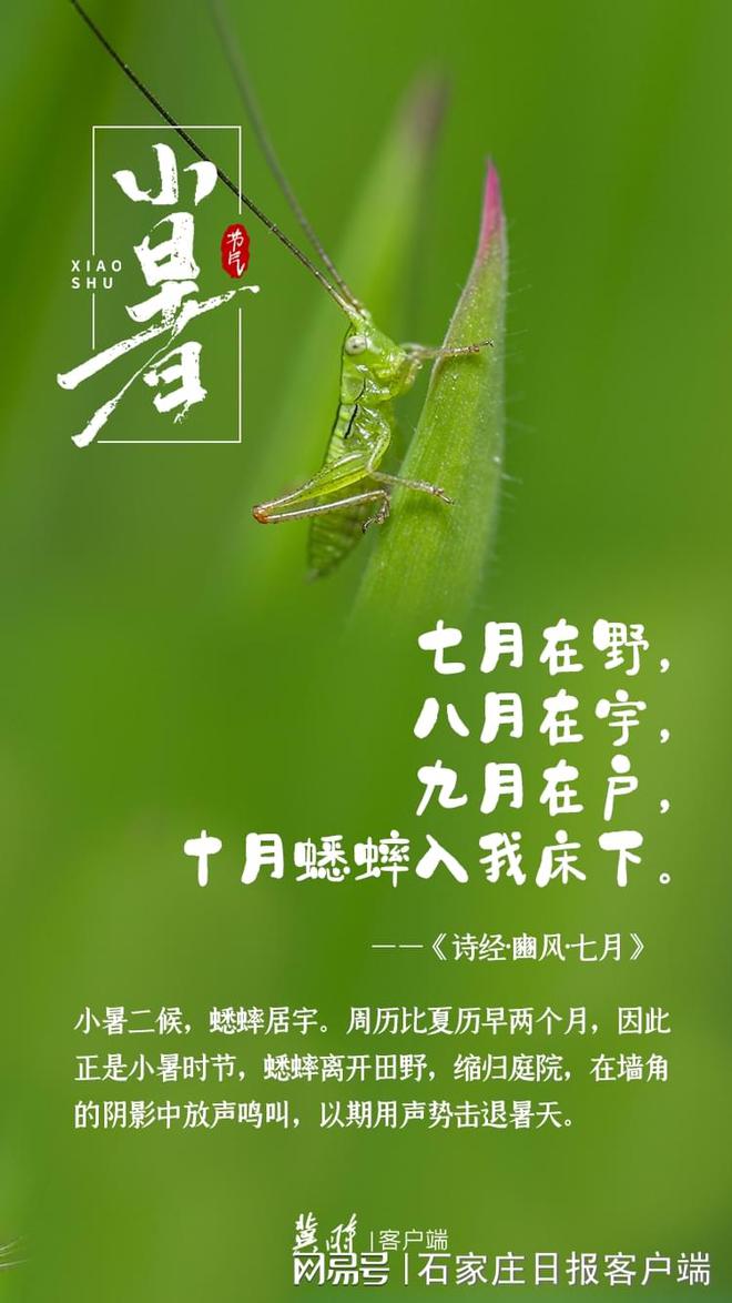 小暑诗词歌赋_小暑的儿歌或诗歌_小暑诗歌