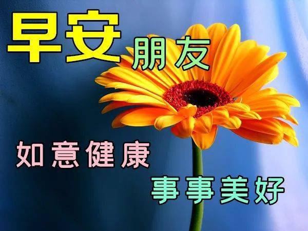栗崎纱理奈_栗崎纱理奈_栗崎纱理奈