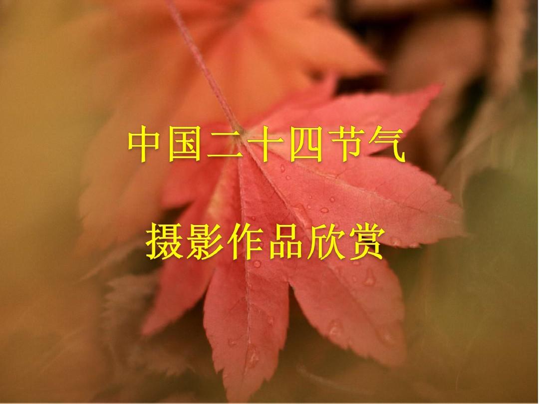 二十四节气排序_节气的排行_节气怎么排序