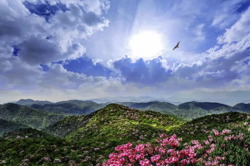 楚雄州庆是什么时间_楚雄州今年州庆安排_楚雄州州庆是几月几日2023