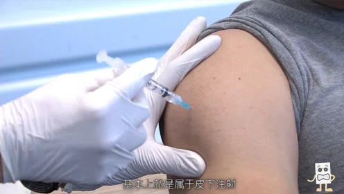 打视频玩游戏_打游戏和看视频更伤手机_视频玩手机