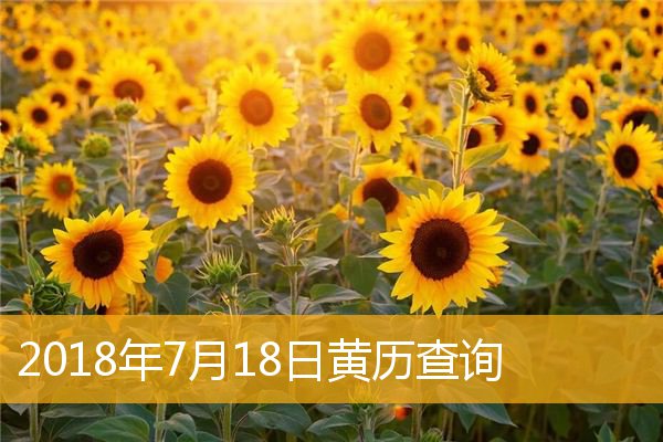 农历查询黄历表宜忌_农历黄历择吉日查询_农历查询黄历表