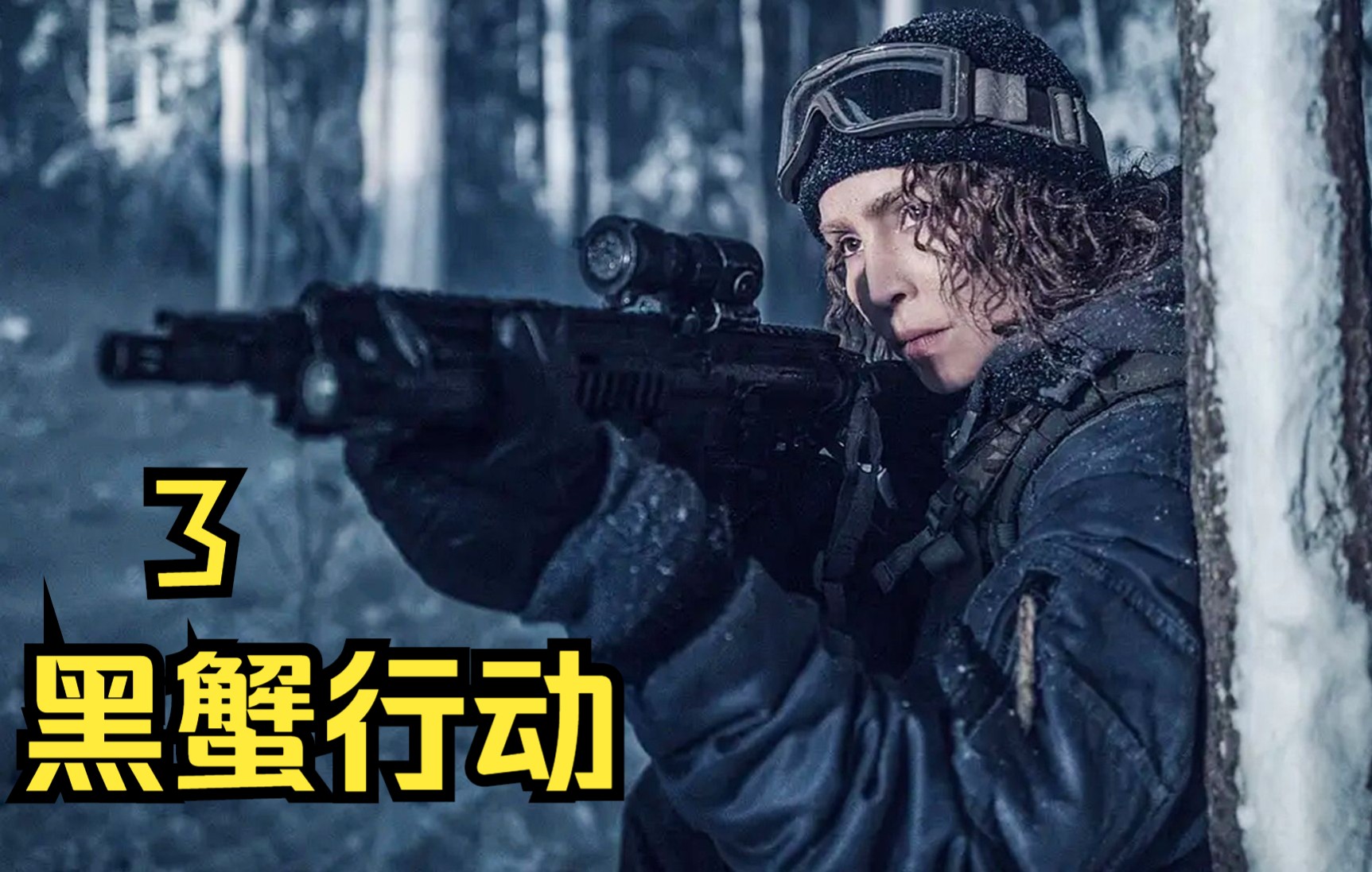 行动目标希特勒1080p_黑蟹行动1080p_湄公河行动1080p下载