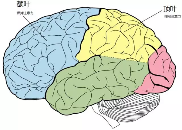 大脑病变推理游戏手机_大脑病变推理游戏手机_大脑病变推理游戏手机