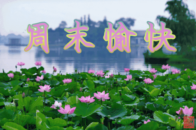能假期间玩放手机游戏吗_放假期间能不能玩手机游戏_在假期里可以玩手机吗
