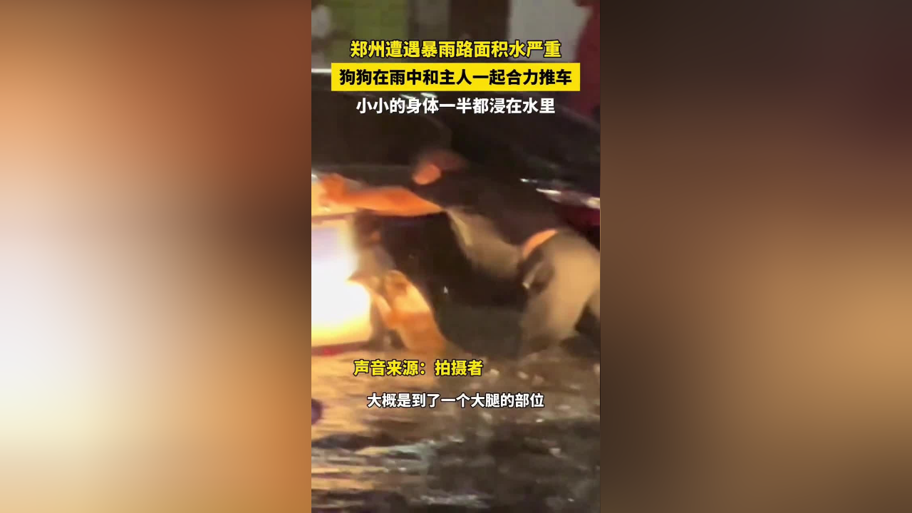 暴雨游戏评测_暴雨游戏手机壳_暴雨游戏软件