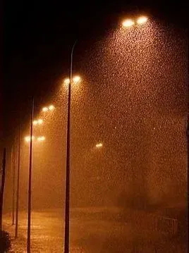 暴雨游戏手机壳_暴雨游戏评测_暴雨游戏软件
