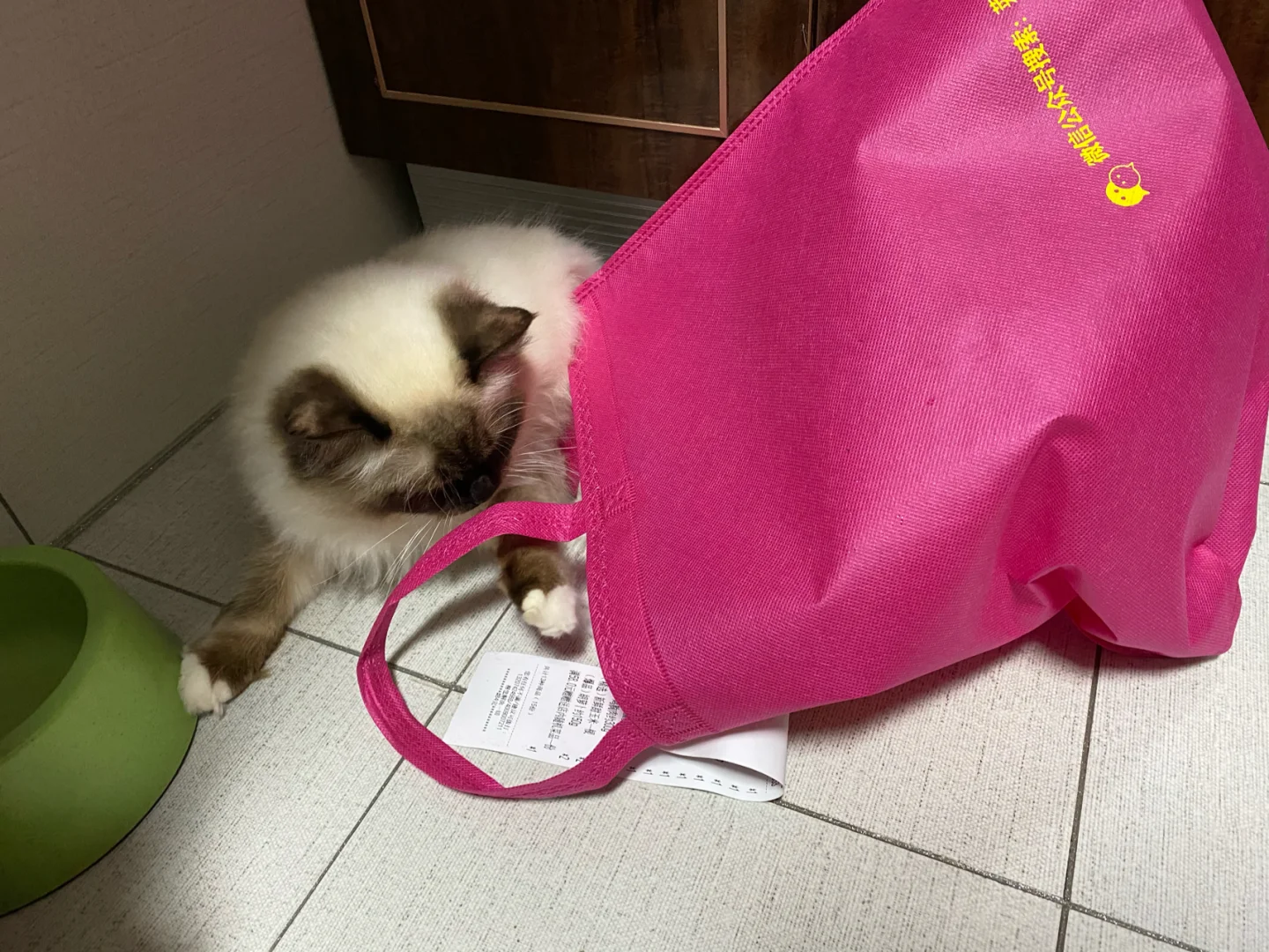 猫咪小贝流浪记电影在线观看_猫咪小贝流浪记电影_猫咪小贝