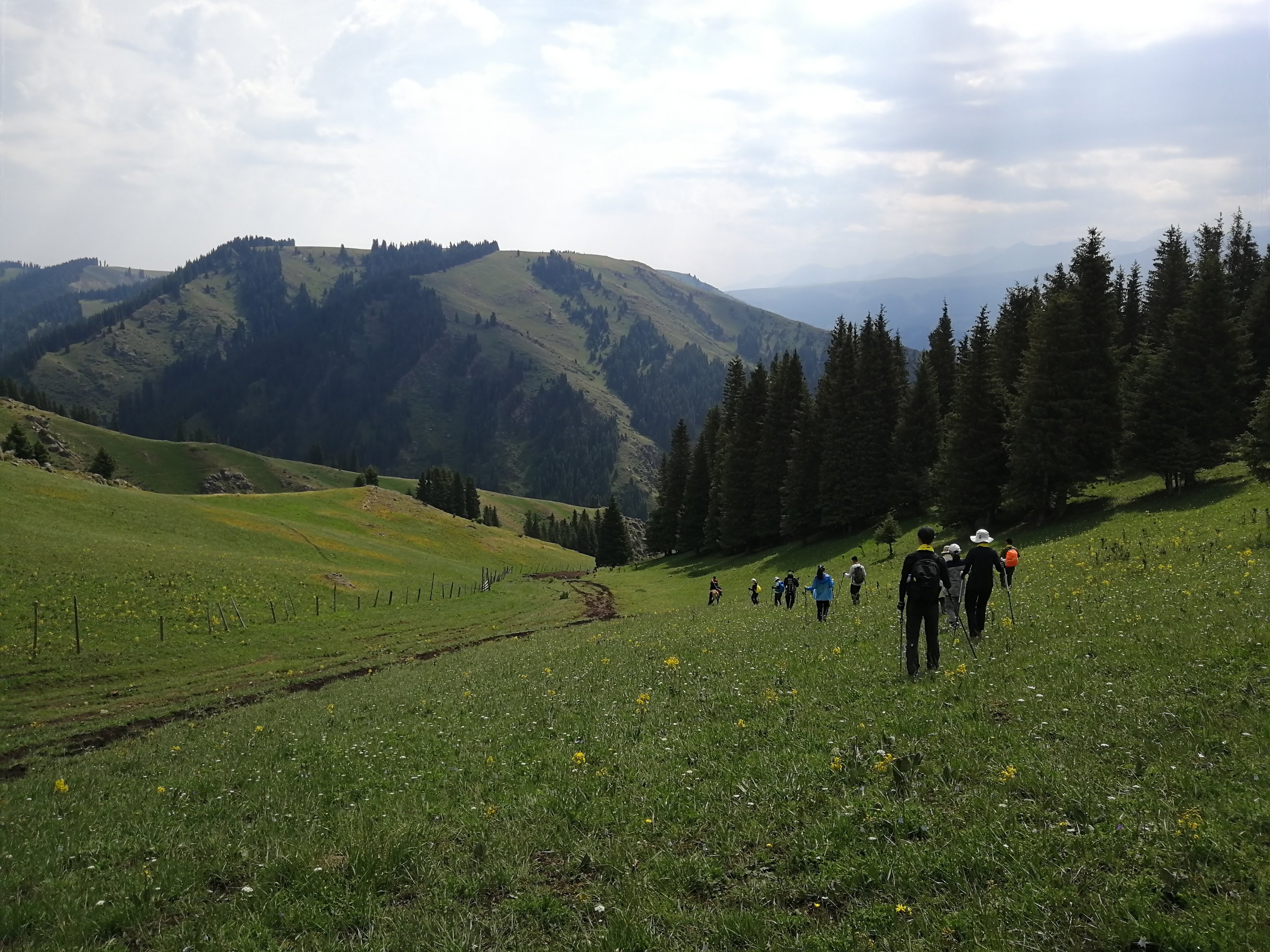 英仙座流星雨每年的几月份_英仙座流星雨出现在每年的_英仙座流星雨几月份