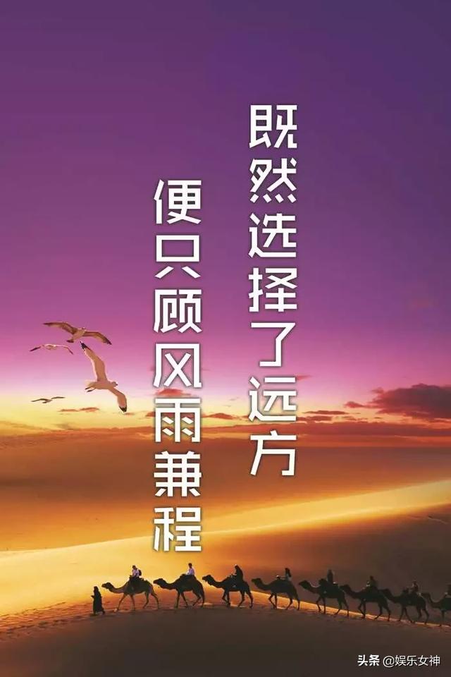 鸟冷怎么办_鸟冷了会怎么样_冷鸟