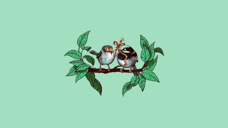 恋爱手机游戏推荐_恋爱手机游戏女生玩的_lse手机恋爱游戏