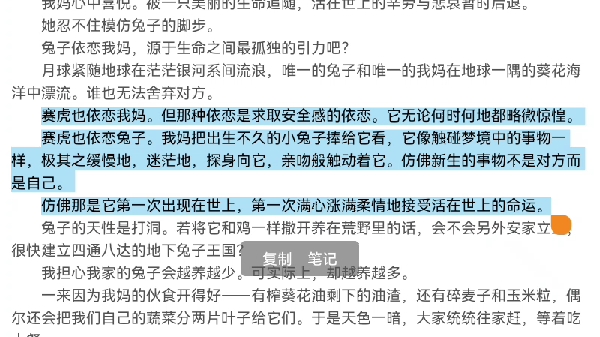 死兔子的简笔画_兔子必须死_死兔子能吃吗