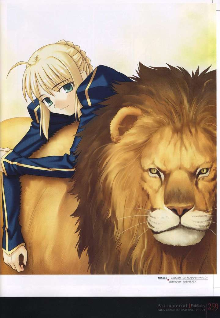 阿尔托莉雅lily技能_阿尔托莉雅rider_阿尔托莉雅alter