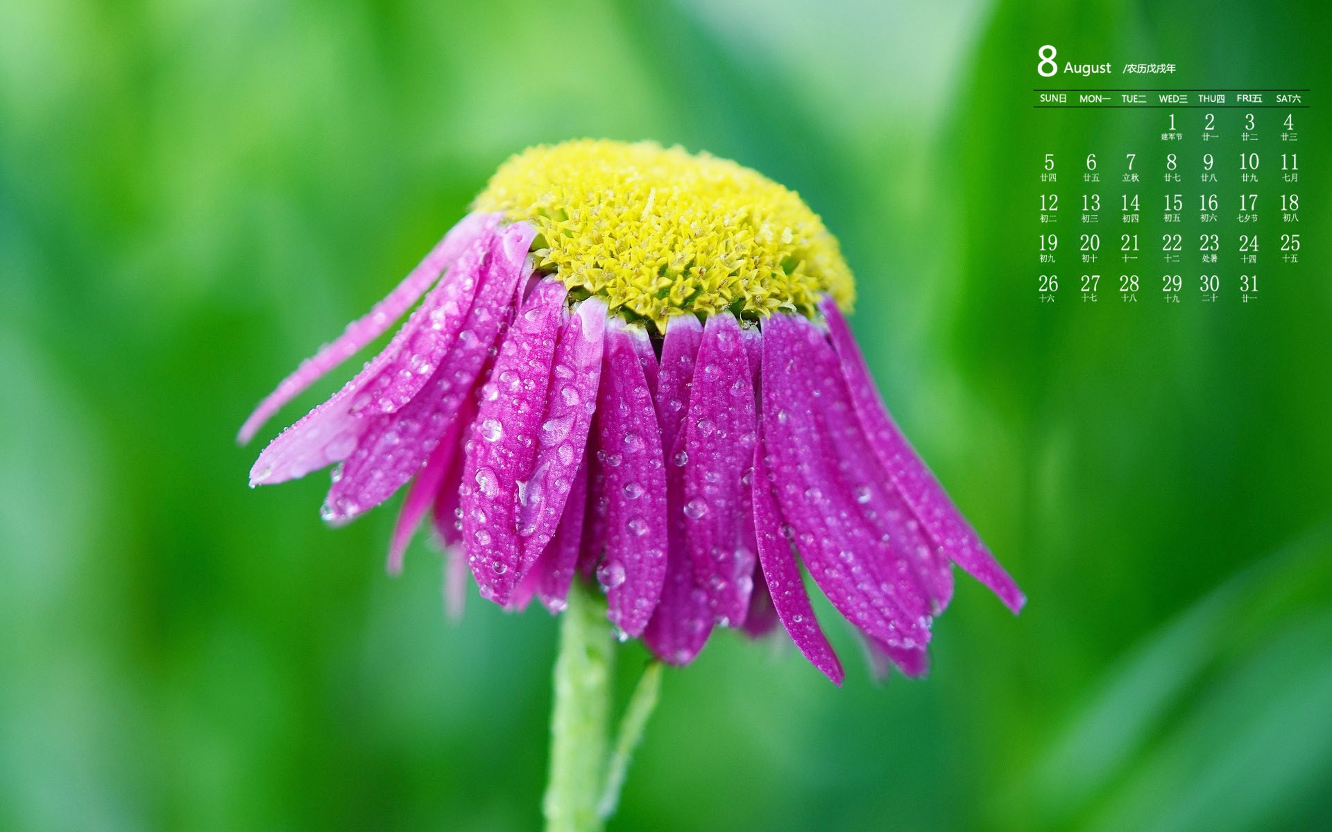 三月份日历_日历月份计算器_日历月份英语怎么写