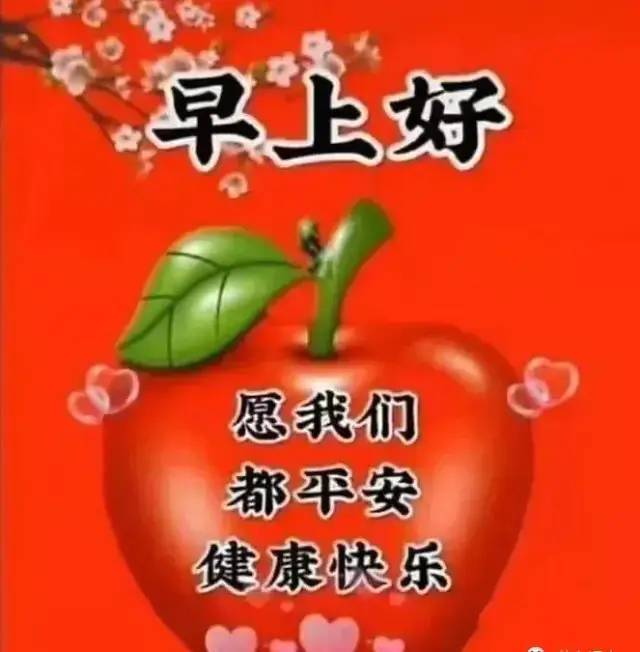 青空下的约定_青空下的约定会长线_青空的约定