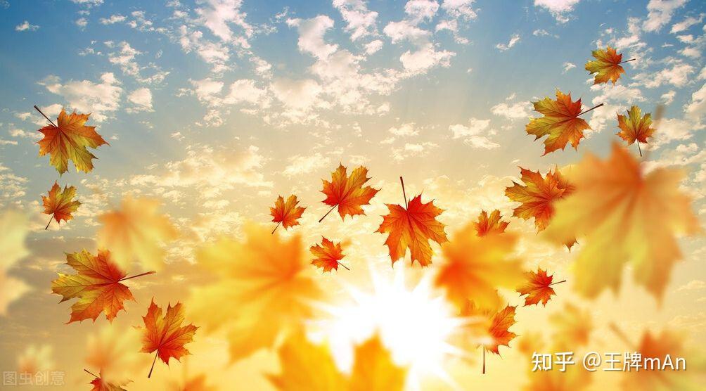 樱舞落花恋模样几个结局_樱舞落花恋模样路线可攻略角色_樱舞落花恋模样