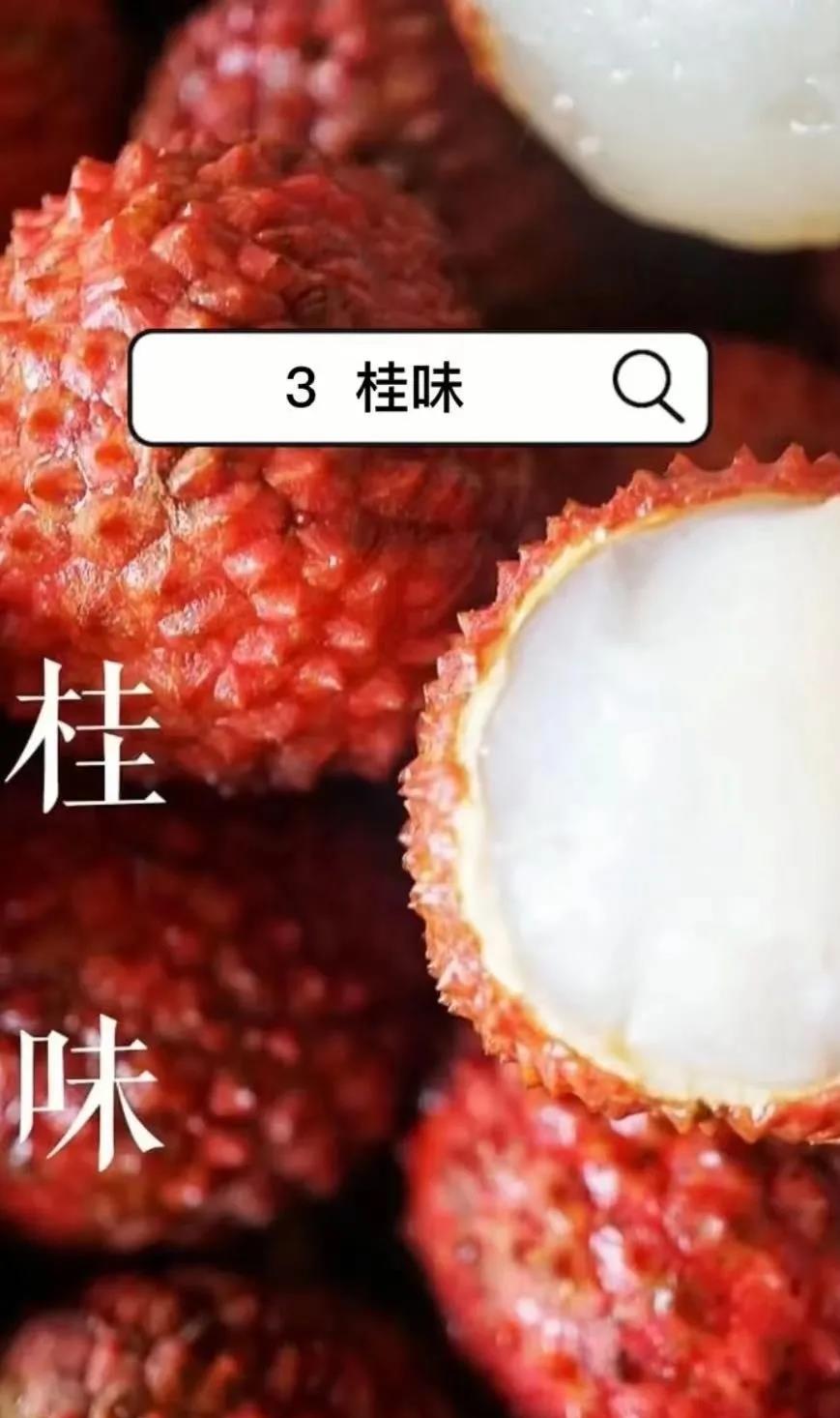单机版手机游戏拳皇_单机版手机游戏切水果_Q版单机游戏手机