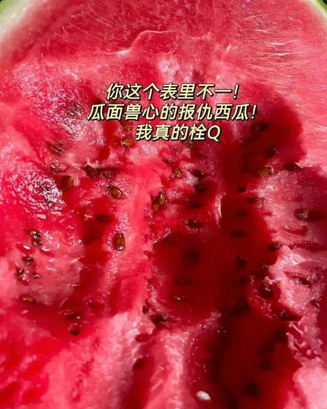 单机版手机游戏拳皇_Q版单机游戏手机_单机版手机游戏切水果