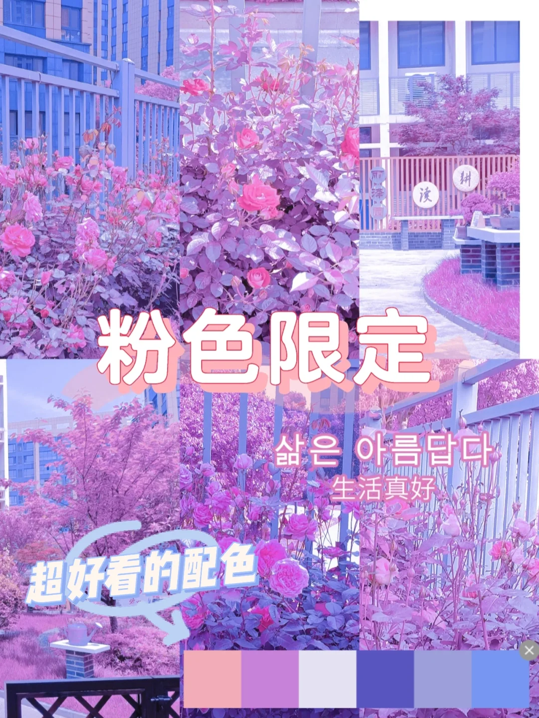 粉色的游戏手机_粉色手机游戏经营_粉色经营手机游戏