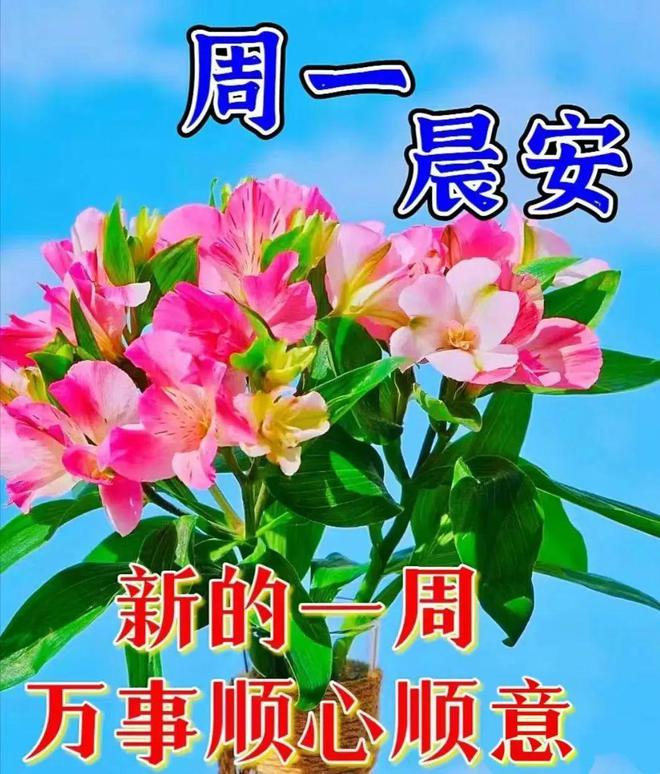 一枪穿云_codm一枪穿云_周泽楷一枪穿云