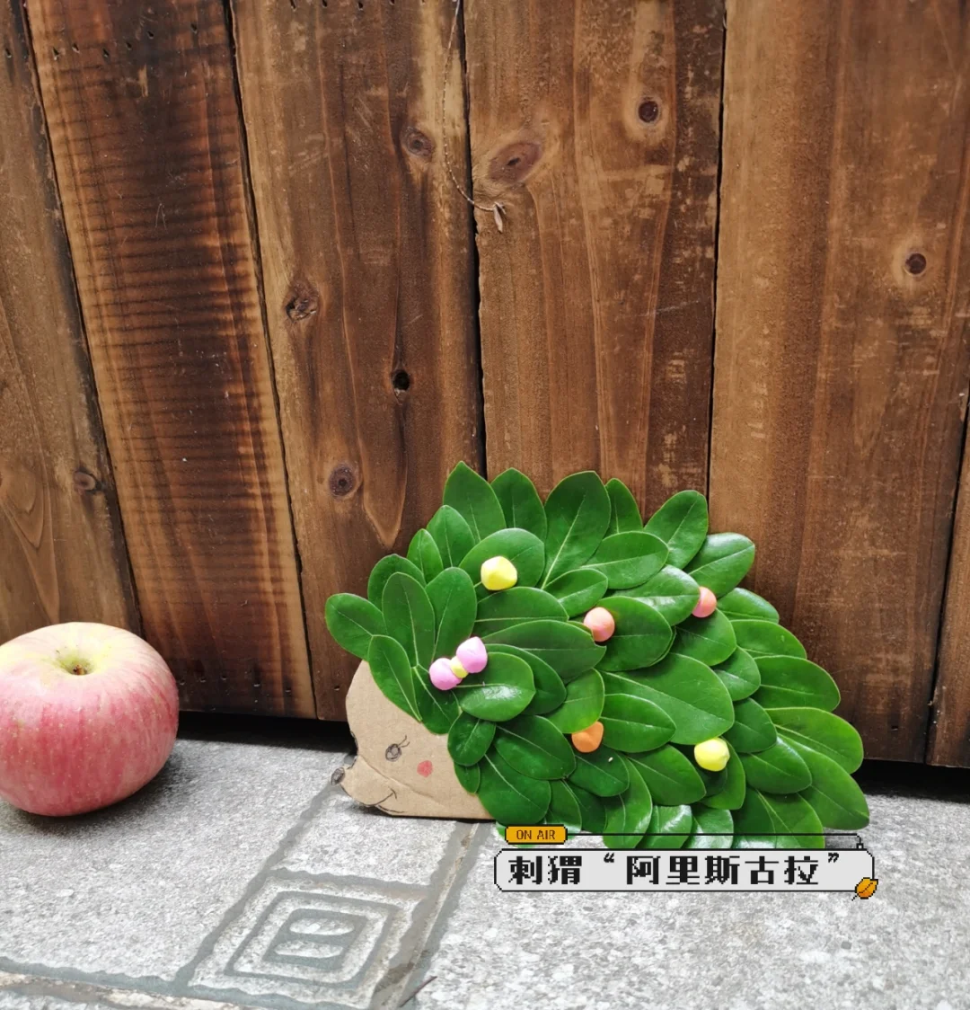 安丘拍照手机游戏：探索魔法世界，捕捉奇妙瞬间，还能和朋友一起