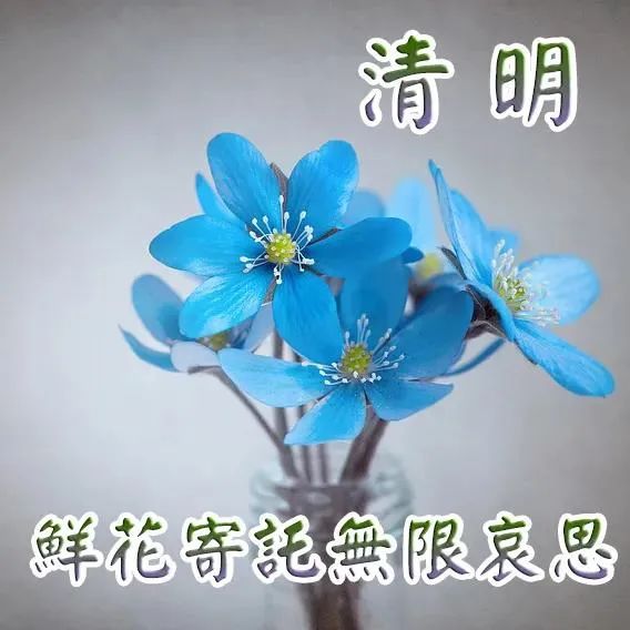 清明小长假的假期_清明节小长假_清明小长假日记