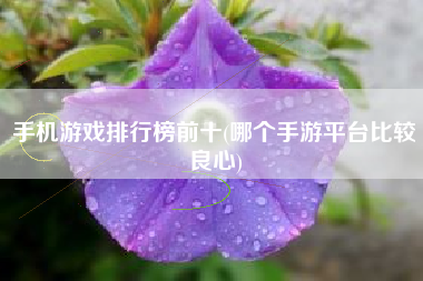 排行榜安卓大型手机游戏_安卓手机大型游戏排行榜_排行榜安卓大型手机游戏推荐