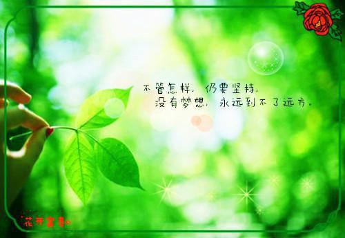 波鲁斯尼禄_波鲁斯_波鲁斯印度剧