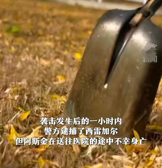 IE清理手机游戏_清理手机游戏_清理手机游戏数据可以删除吗