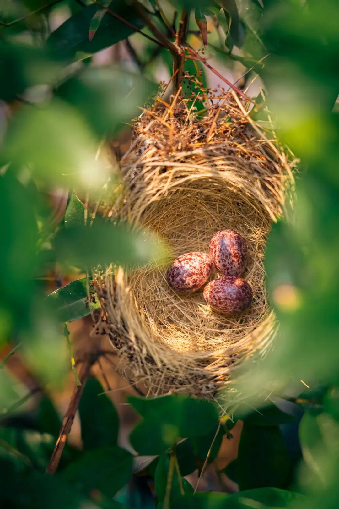 清理手机游戏数据可以删除吗_IE清理手机游戏_清理手机游戏